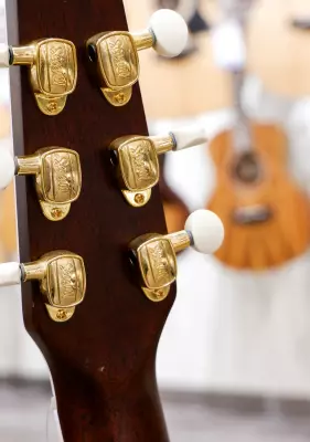 Seagull Guitars - Artist Mosaic CW HG EQ Acoustic/Electric Guitar 2